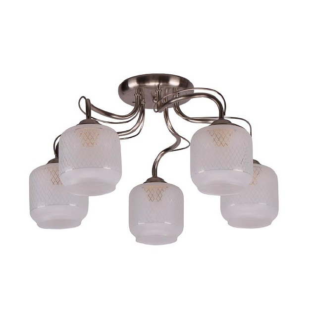 Потолочная люстра ЭкономСвет 10041/5SN WT Фото № 1