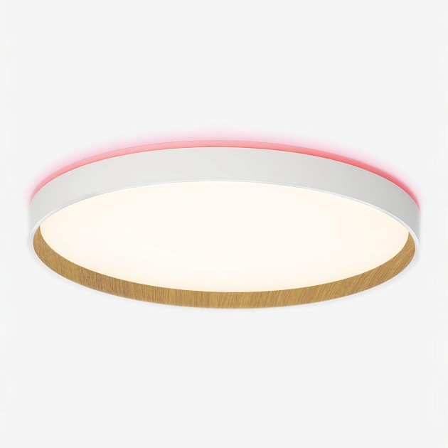 Потолочный светодиодный светильник Citilux Etalon CL750400R Фото № 15