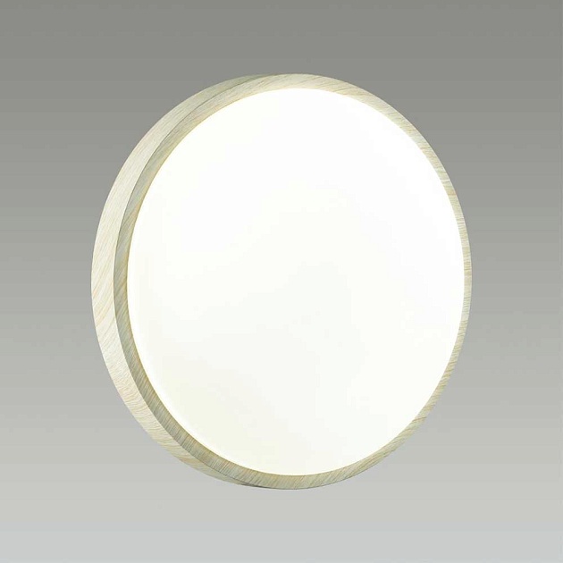 Настенно-потолочный светодиодный светильник Sonex Losta 7628/DL Фото № 2