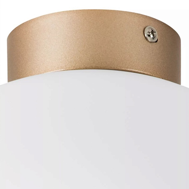 Настенно-потолочный светильник Lightstar Globo 812033 Фото № 2