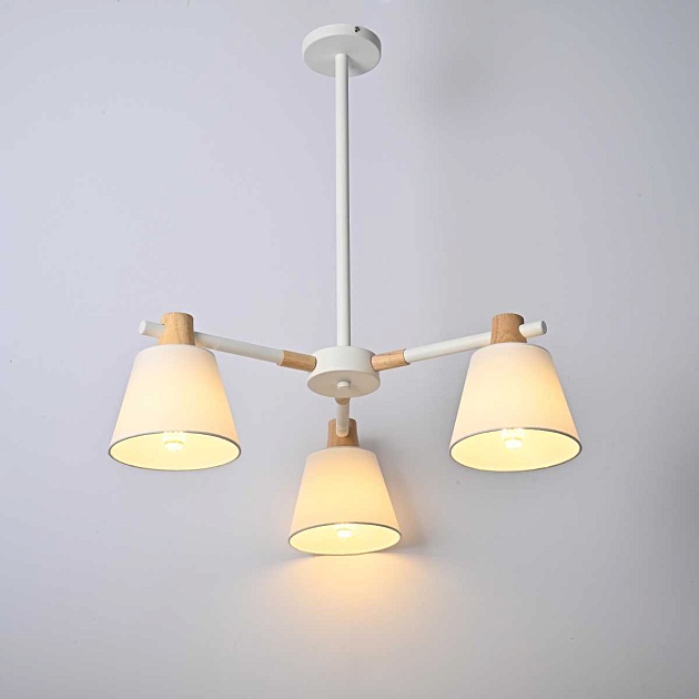 Подвесная люстра Imperium Loft Natura 101826-26 Фото № 9