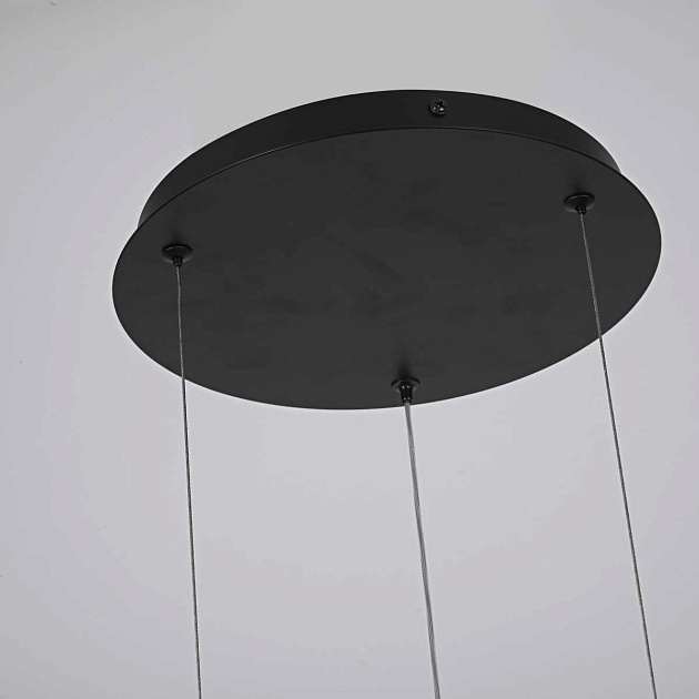 Подвесной светодиодный светильник Imperium Loft Palma 168493-22 изображение 5 Подвесной светодиодный светильник Imperium Loft Palma 168493-22 Фото № 5