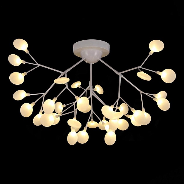 Потолочная люстра Evoluce Avola SLE250102-36 Фото № 2