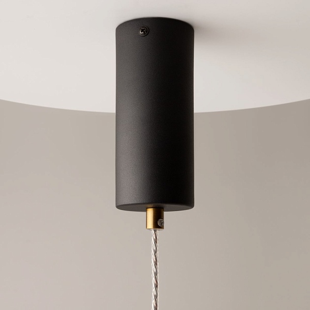 Подвесной светодиодный светильник Maytoni Area MOD295PL-L20BS3K Фото № 7