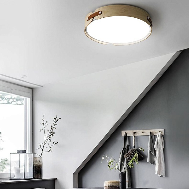 Потолочный светодиодный светильник Imperium Loft Range 195543-26 изображение 6 Потолочный светодиодный светильник Imperium Loft Range 195543-26 Фото № 6