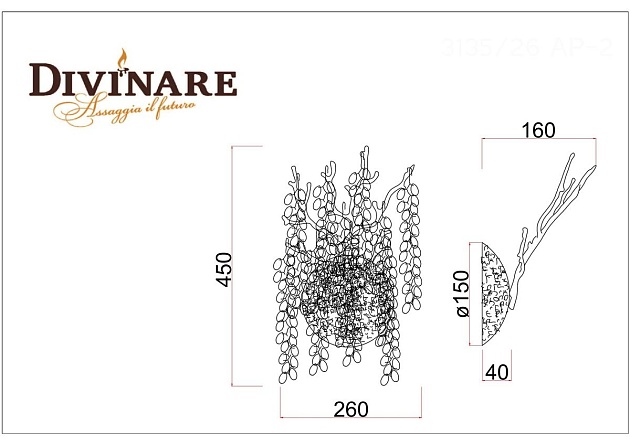 Бра Divinare Salice 3135/26 AP-2 Фото № 2