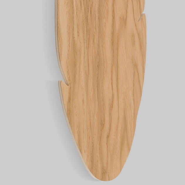 Настенный светильник TK Lighting 4678 Hoja Wood Фото № 4