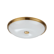 Потолочный светильник Odeon Light Walli Pelow 4956/5 5