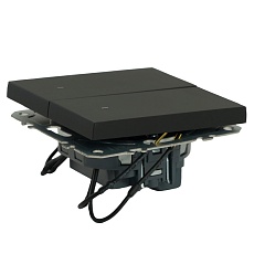 Выключатель 2-клавишный c индикатором (механизм), STEKKER, 250В, 10А, серия Эмили, RSW10-5102-05, черный уголь, soft touch 49838 4