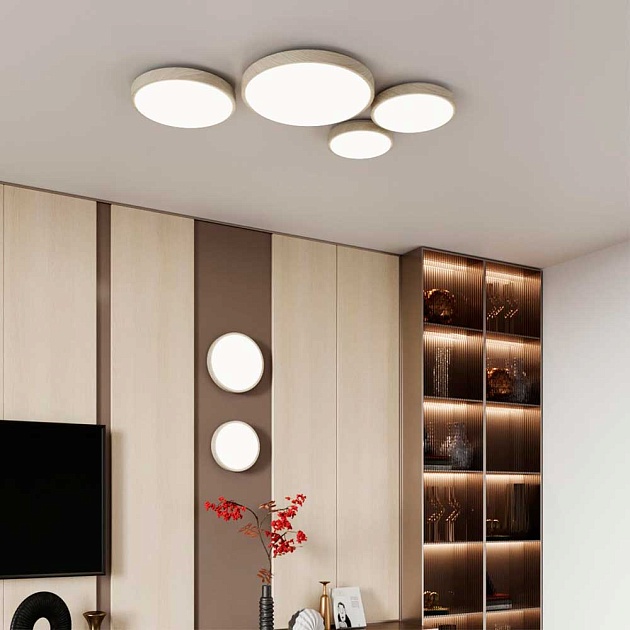 Настенно-потолочный светодиодный светильник Sonex Losta 7628/EL Фото № 7