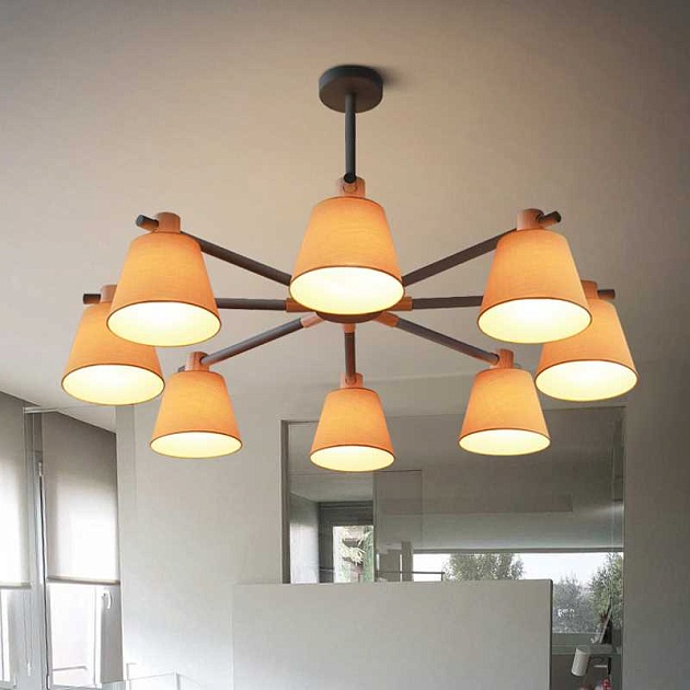 Подвесная люстра Imperium Loft Natura 177990-26 Фото № 12