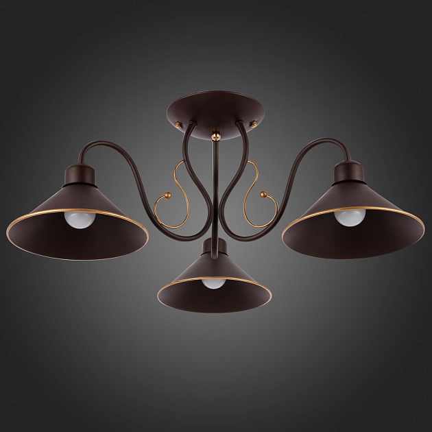 Потолочная люстра Evoluce Ciolla SLE120402-03 Фото № 4