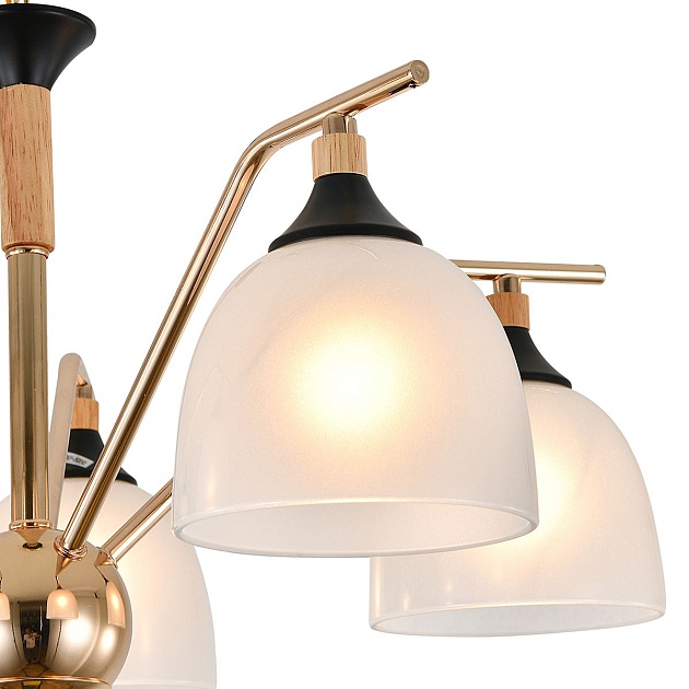 Подвесная люстра Escada Actinidia 2123/5P Фото № 3