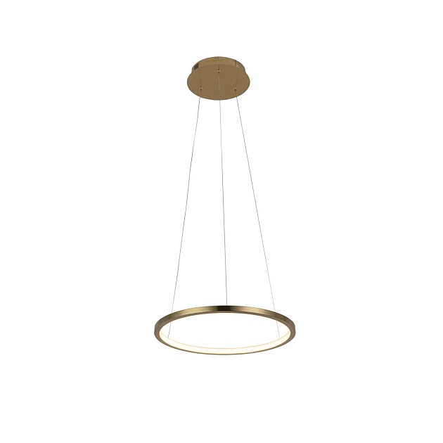 Подвесной светодиодный светильник Loft IT Ring 10014S Фото № 1
