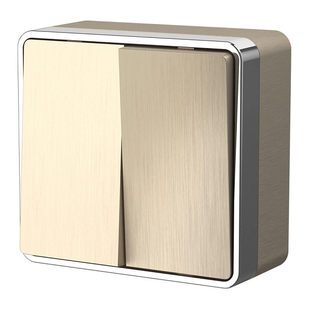 Выключатель двухклавишный Werkel Gallant шампань рифленый W5020010 4690389164149 изображение 1 Выключатель двухклавишный Werkel Gallant шампань рифленый W5020010 4690389164149 Фото № 1