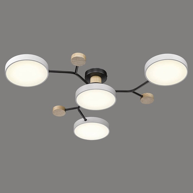 Потолочная светодиодная люстра Velante 446-007-04 Фото № 1