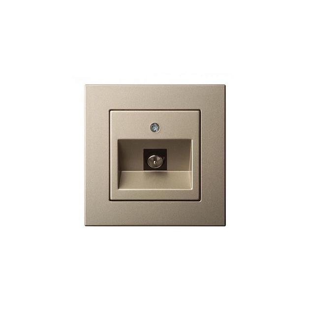 ТВ-розетка оконечная Liregus Epsilon шампань 28-314 изображение 1 ТВ-розетка оконечная Liregus Epsilon шампань 28-314 Фото № 1