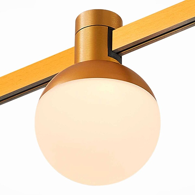 Трековый светильник ST LUCE ST815.246.05 Фото № 1