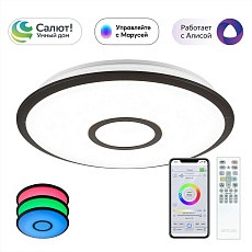 Потолочный светодиодный светильник Citilux Старлайт Смарт CL703A45G