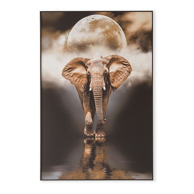 Картина Lumina Deco FP Elephant 80-120 изображение 1 Картина Lumina Deco FP Elephant 80-120 Фото № 1