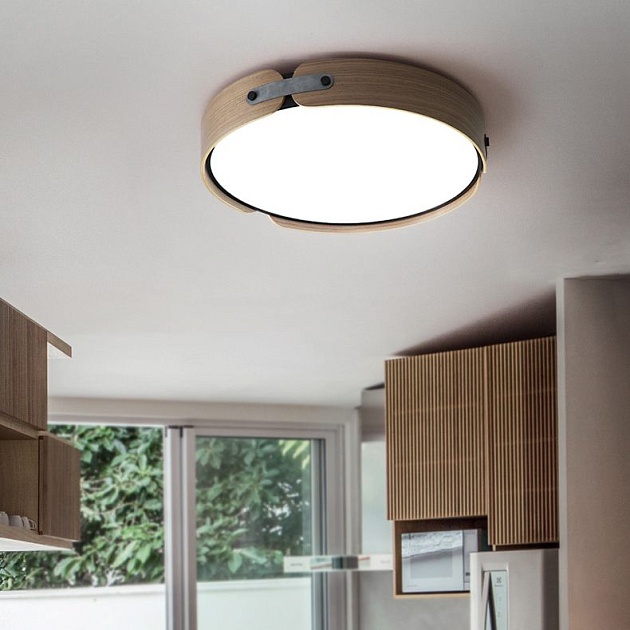 Потолочный светодиодный светильник Imperium Loft Range 195543-26 изображение 10 Потолочный светодиодный светильник Imperium Loft Range 195543-26 Фото № 10