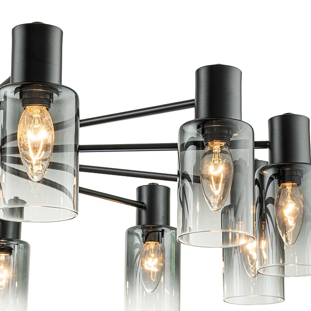 Потолочная люстра Escada Diversity 2120/12P Black изображение 3 Потолочная люстра Escada Diversity 2120/12P Black Фото № 3