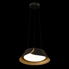 Подвесной светильник LOFT IT Lane 10370P Black 1