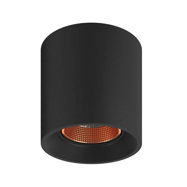 Накладной светильник Denkirs DK3090-BBR Фото № 1