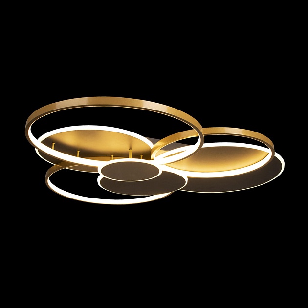 Потолочный светодиодный светильник Loft IT Megan 10163 Black Фото № 3