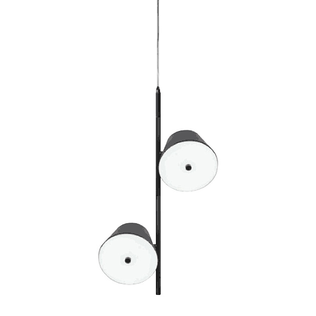 Подвесной светодиодный светильник Gerhort G31107/2BK BK Фото № 1