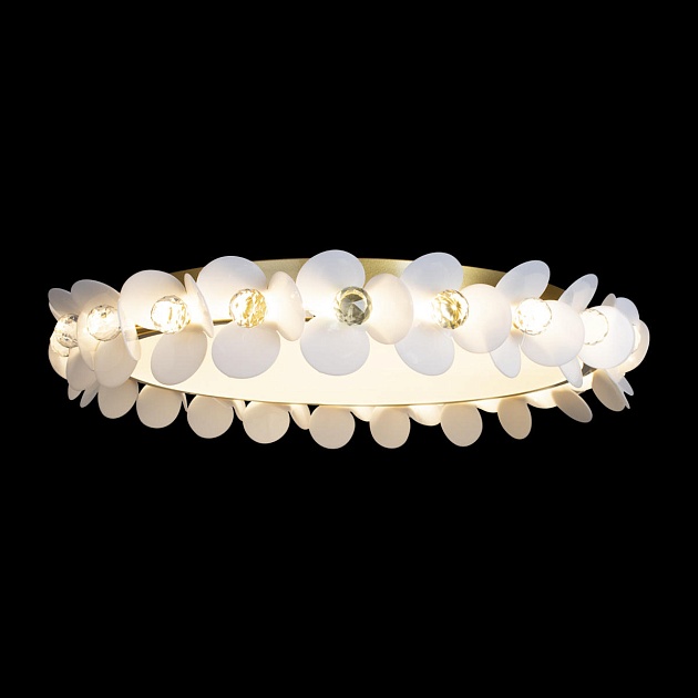 Потолочный светодиодный светильник Loft IT Bride 10176 изображение 2 Потолочный светодиодный светильник Loft IT Bride 10176 Фото № 2