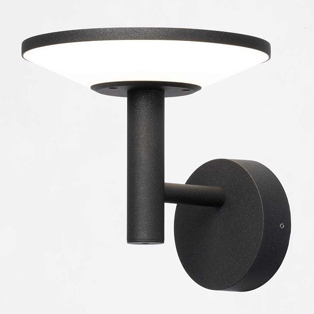 Уличный настенный светильник Citilux Dorn CLU05W Фото № 10