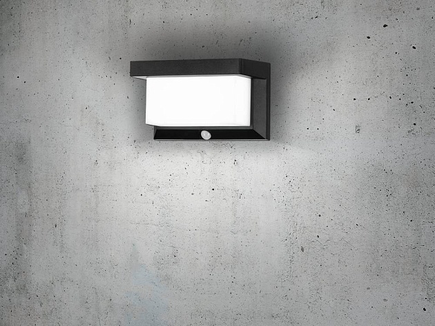 Светильник на солнечных батареях Eglo Utrera 48968 Фото № 4