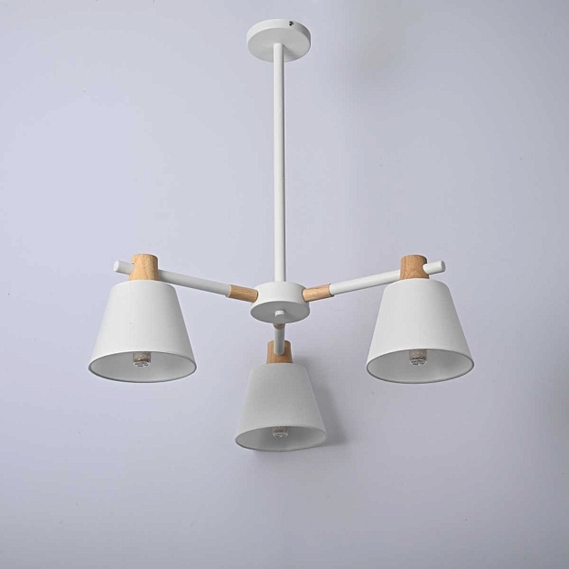 Подвесная люстра Imperium Loft Natura 101826-26 Фото № 8