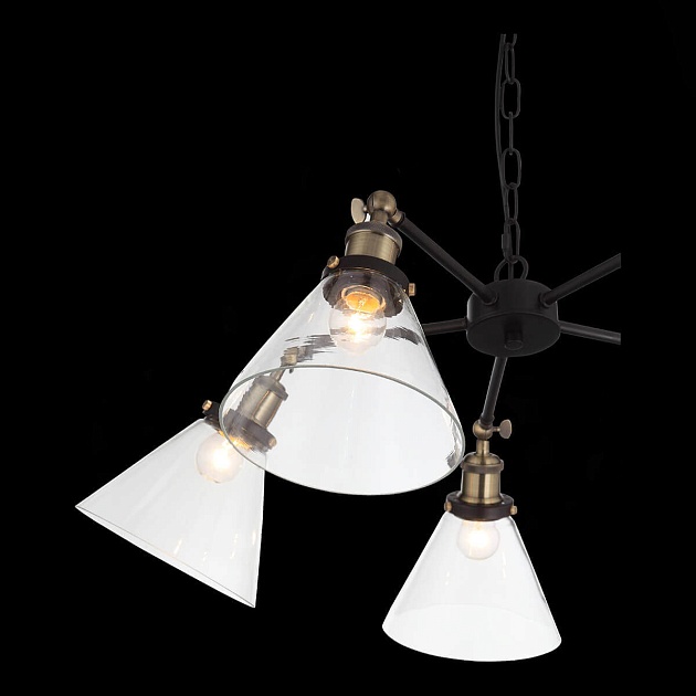 Подвесная люстра ST Luce Evoluto SL237.413.05 Фото № 7