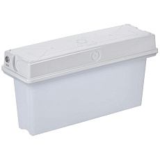 Светильник аварийный ССА1010 3ч универсальный IP65 IEK LSSA1-1010-3-65-K01