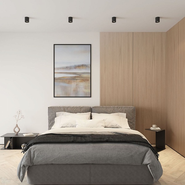 Накладной светильник Denkirs Rodvig DK3090-BK Фото № 6