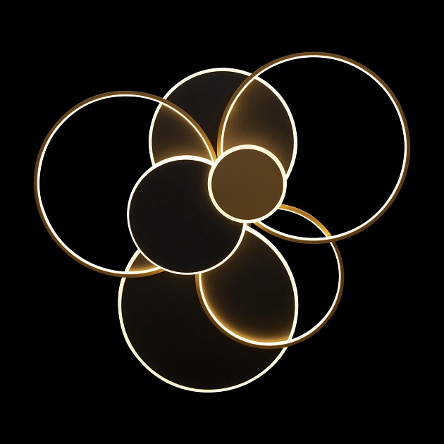 Потолочный светодиодный светильник Loft IT Megan 10163 Black Фото № 4