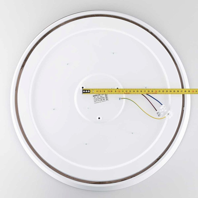 Потолочный светодиодный светильник Citilux Bonny CL754450G Фото № 2