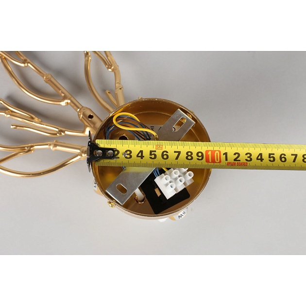 Настенный светильник Aployt Gertunia APL.847.01.03 Фото № 3