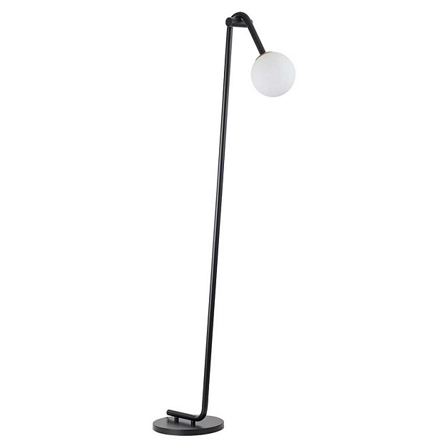 Торшер Lumion DEXTER 6500/1F изображение 1 Торшер Lumion DEXTER 6500/1F Фото № 1