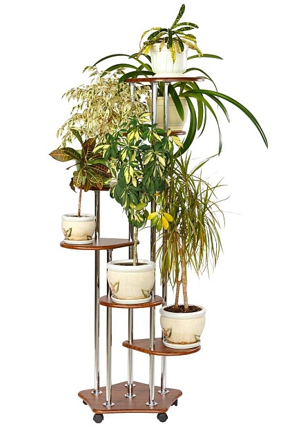 Подставка для цветов Калифорния Шестерочка орех 5508278905 Фото № 4