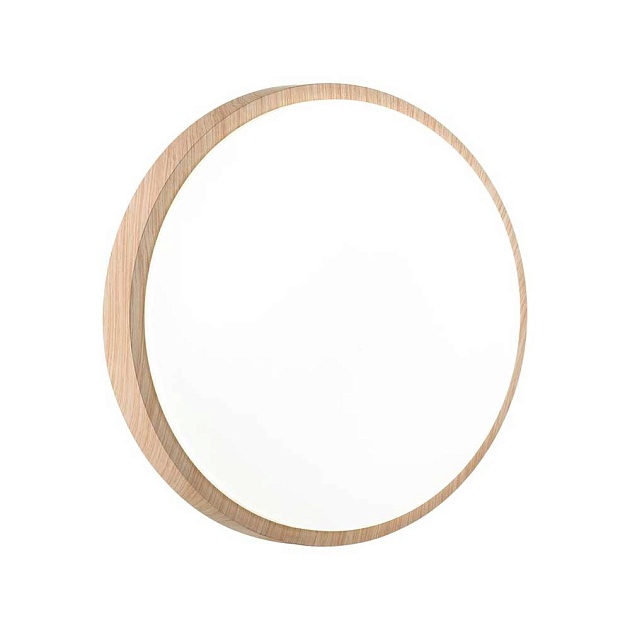 Настенно-потолочный светодиодный светильник Sonex Losta 7607/AL Фото № 2