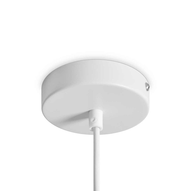 Подвесной светильник Freya Modern FR5530PL-L10W изображение 2 Подвесной светильник Freya Modern FR5530PL-L10W Фото № 2