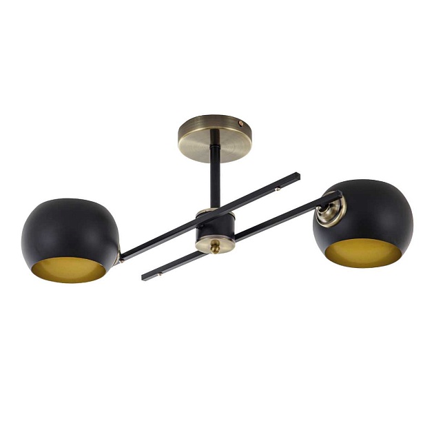 Потолочная люстра Modelux Modemodern MD.5171.2 Фото № 1