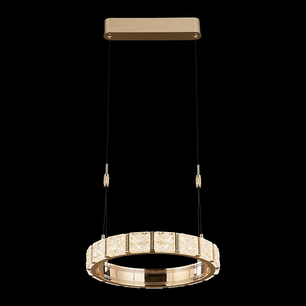 Подвесная светодиодная люстра Wertmark Vera WE458.01.303 изображение 1 Подвесная светодиодная люстра Wertmark Vera WE458.01.303 Фото № 1