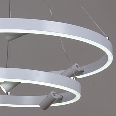 Подвесная светодиодная люстра Reluce 02476-0.4-6+4 1