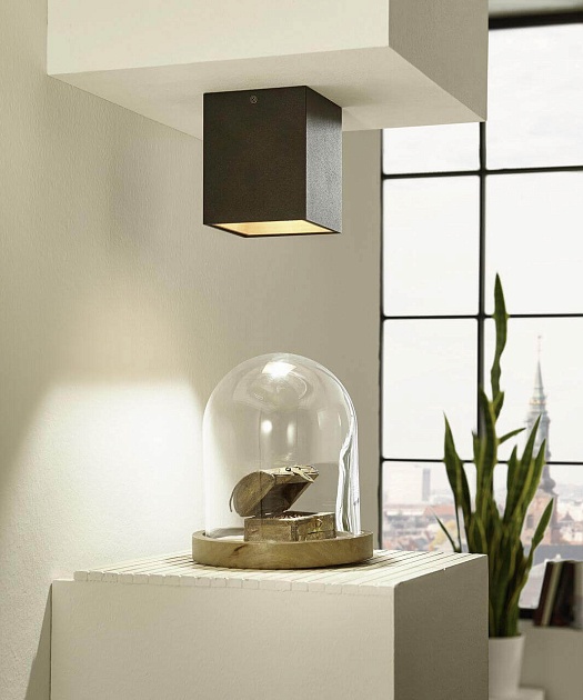 Потолочный светильник Eglo Polasso 94497 Фото № 2