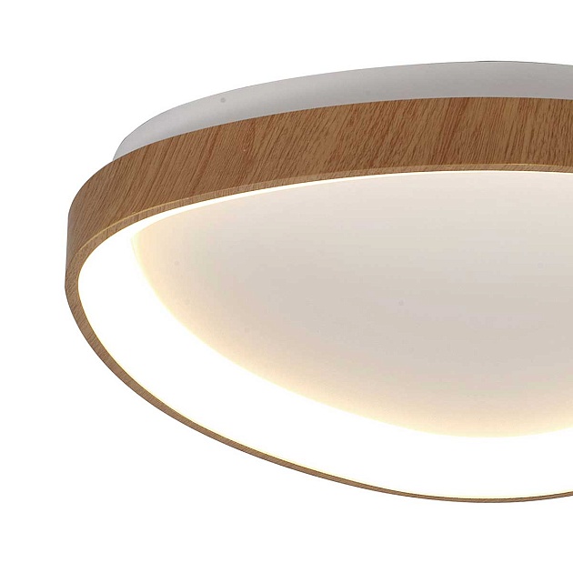 Потолочный светодиодный светильник Mantra Niseko II 8632 Фото № 2