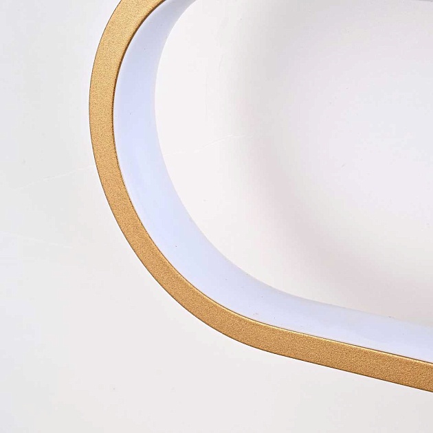 Потолочная светодиодная люстра Favourite Planar 4075-2C Фото № 5